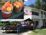 a roadside fruitstand is a great excuse to pull over, stretch your legs, and carry home some fresh flavors and new discoveries