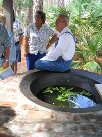 50-gallon sugar cane kettle still in use to reduce cane juice into syrup and molasses